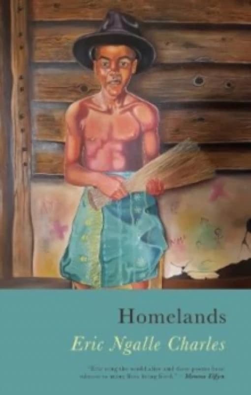 Homelands Paperback / softback