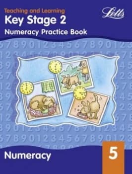 Key Stage 2 Numeracy Activity Book. Year 5 by Peter Patilla and Paul Broadbent Paperback