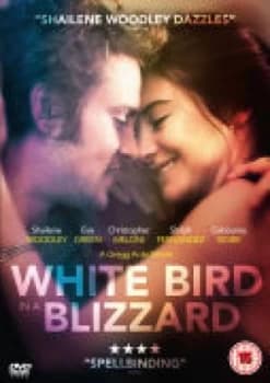 White Bird in a Blizzard