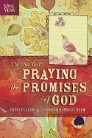 one year praying the promises of god