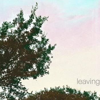 Leaving - Leaving Vinyl