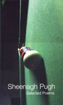 Selected Poems by Sheenagh Pugh Paperback