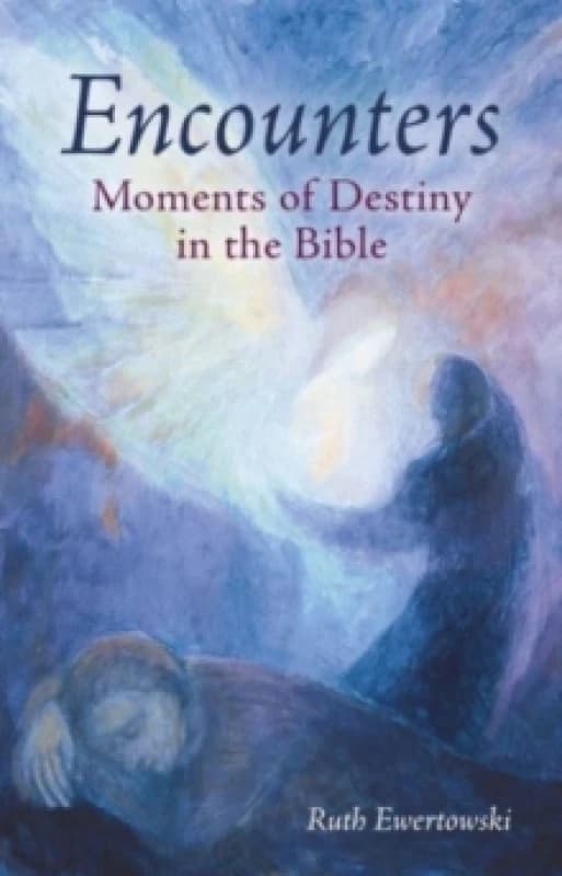 Encounters: Moments of Destiny in the Bible Paperback / softback