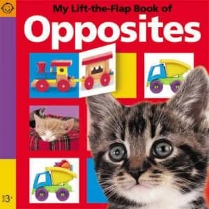 My Lift-the-Flap Book of Opposites Book