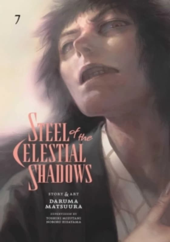 Steel of the Celestial Shadows, Vol. 7 Paperback / softback