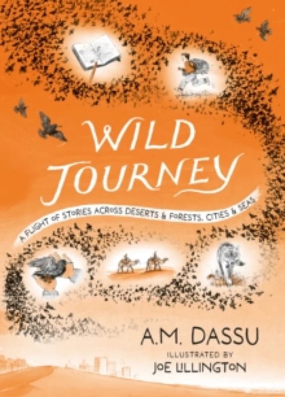 Wild Journey Paperback / softback