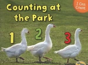 Counting at the Park by Rebecca Rissman Book