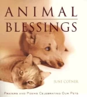 animal blessings prayers and poems celebrating our pets