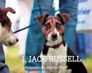 I Jack Russell by Andy Hughes Hardback