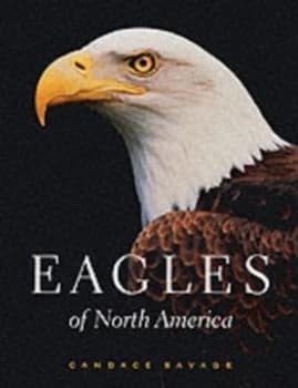 Eagles of North America by Candace Savage Paperback
