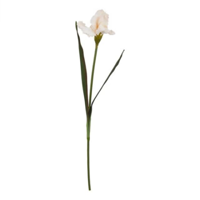 Hill Interiors The Natural Garden Collection Fringed Iris Artificial Flower Pale Apricot (One Size)