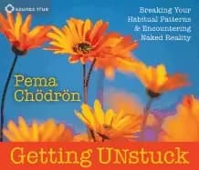 gettin unstuck breaking your habitual patterna and encountering naked reali