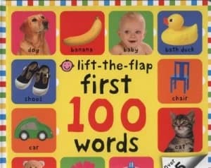 First 100 Words by Roger Priddy Hardback
