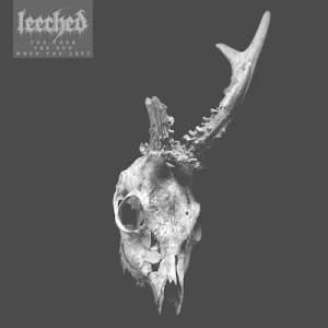 You Took the Sun When You Left by Leeched CD Album