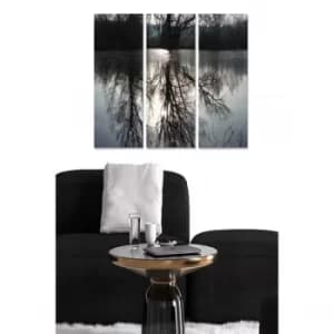 MDF3913925 Multicolor Decorative MDF Painting (3 Pieces)