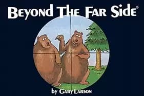 beyond the far side