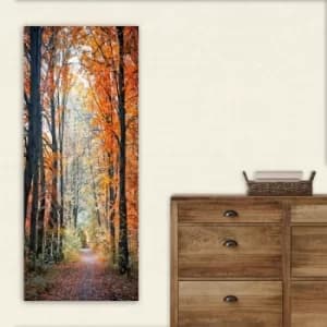 DKY114035173_50120 Multicolor Decorative Canvas Painting