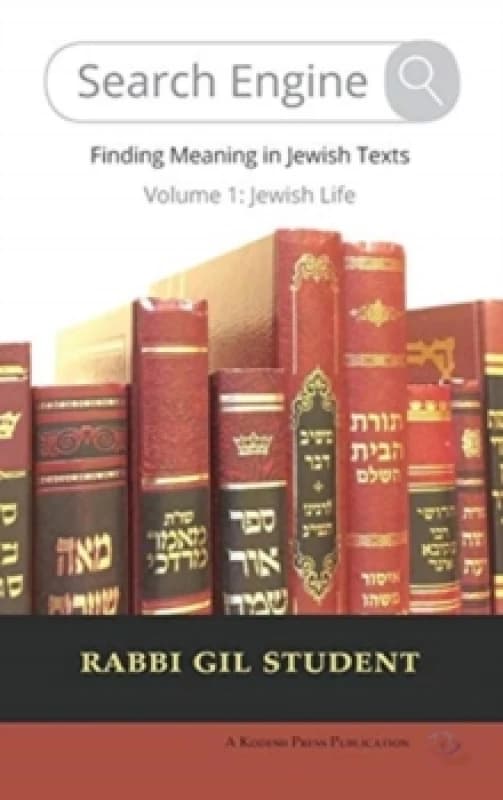 Search Engine : Finding Meaning in Jewish Texts Hardback