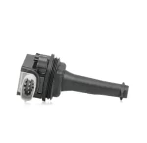 RIDEX Ignition coil FORD,VOLVO 689C0089 1371601,6M5G12029AA,30713417 Coil pack,Ignition coil pack,Engine coil,Engine coil pack 307134170,8677837