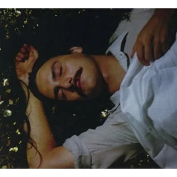 Michael Rault - Its A New Day Tonight CD