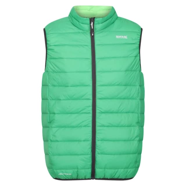 Regatta Marizon Baffled Gilet - Green Green M
