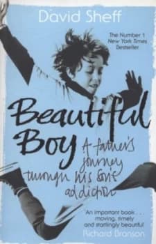 Beautiful Boy by David Sheff Paperback