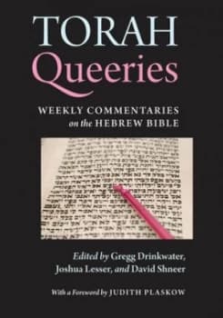 Torah Queeries by Gregg Drinkwater Paperback