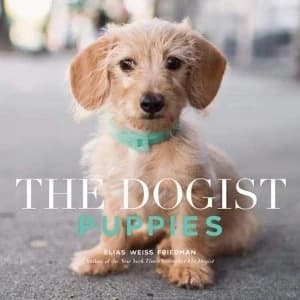 The Dogist Puppies Paperback / softback 2018