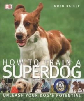 How to Train a Superdog by Gwen Bailey Paperback