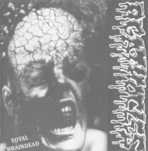 Disorder/Agathocles by Disorder/Agathocles CD Album