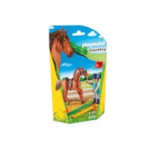 Playmobil Horse Therapist (9259)