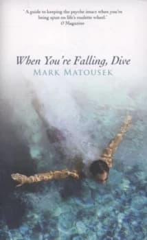 When Youre Falling Dive by Mark Matousek Paperback