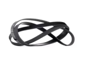 RIDEX V-ribbed belt AUDI,MERCEDES-BENZ,OPEL 305P0216 06E903137AA,3032857AB,53032857AB 1854733,97130560,53012002,L33615909,L33615909A,L33615909B