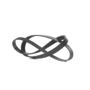 RIDEX V-ribbed belt VW,AUDI,FORD 305P0190 046903137N,04792746AD,4573013 Serpentine belt,Auxiliary belt,Poly V-belt,Ribbed belt,Multi V-belt,Poly belt