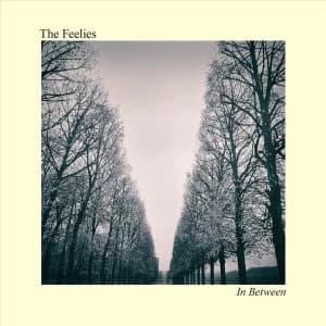 The Feelies - In Between CD
