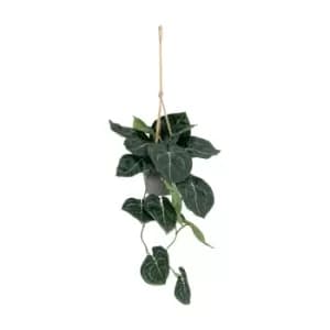 Gallery Interiors Faux Trailing Caladium Green Leaves in Pot