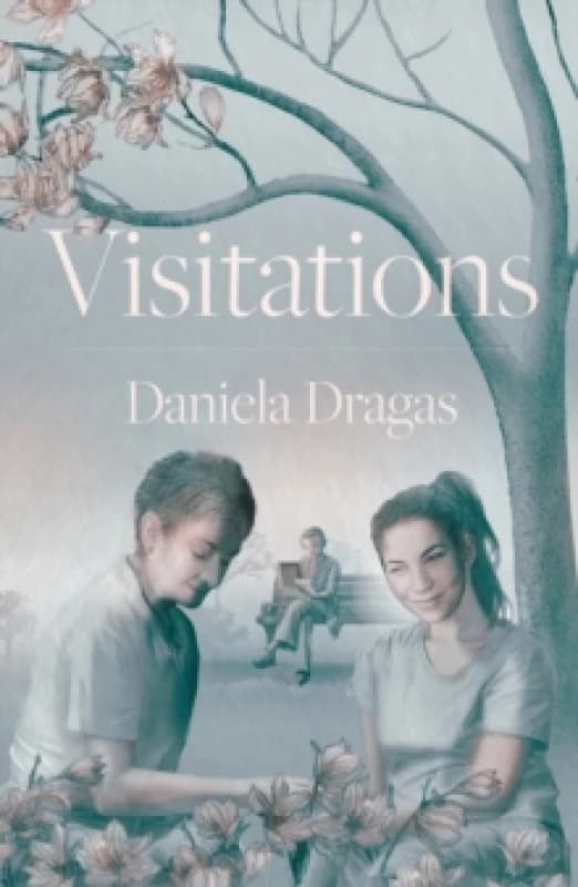 Visitations Hardback