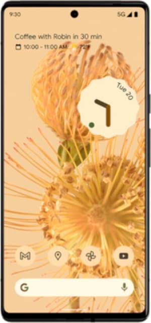 Google Pixel 6 Pro 5G 128GB