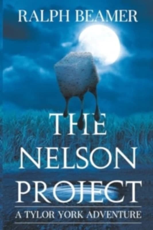 The Nelson Project Paperback / softback