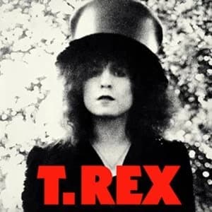 T.Rex - The Slider Vinyl