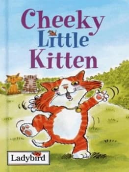 Cheeky Little Kitten by Joan Stimson and Jan Smith Hardback