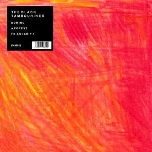 The Black Tambourines ‎- Domino Vinyl