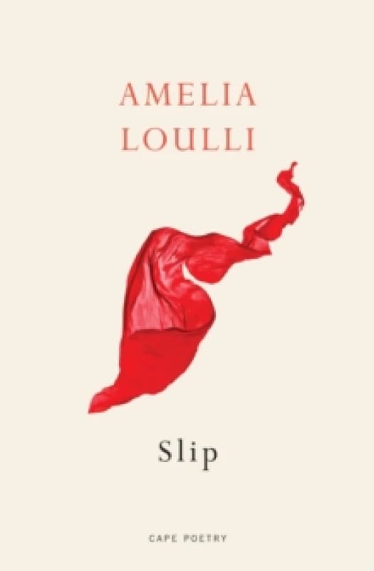 Slip. Paperback. By Amelia Loulli Books