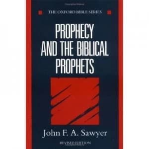 Prophecy and the Biblical Prophets by John F. a Sawyer Paperback