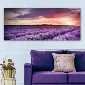 YTY446431585_50120 Multicolor Decorative Canvas Painting