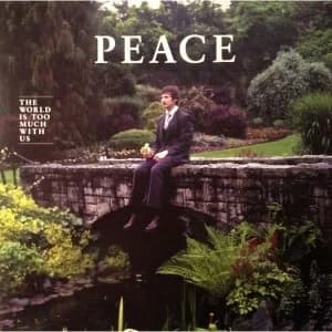 The Wrong Words? - The Wrong Words Vinyl