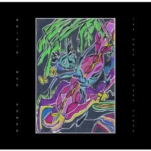 Brigid Mae Power - The Ones You Keep Close Vinyl