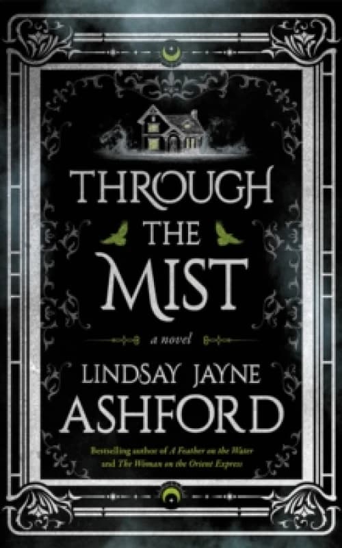 Through the Mist : A Novel Paperback / softback