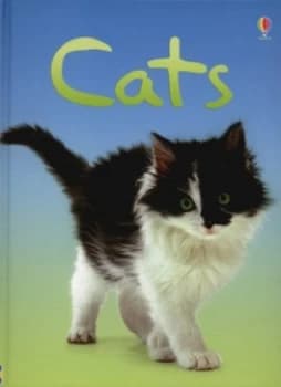 Cats by Anna Milbourne and Patrizia Donaera and Christyan Fox and Claire Bessant and Alison Kelly Hardback