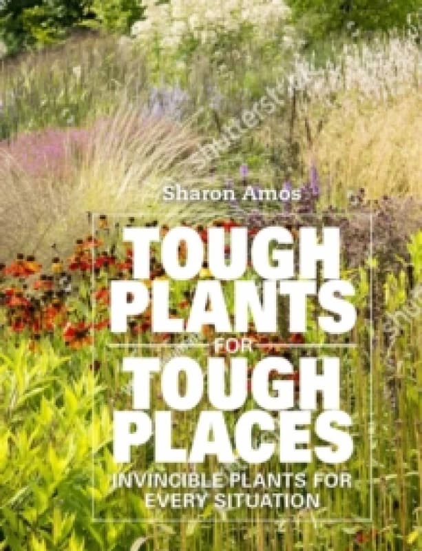Tough Plants for Tough Places : Invincible Plants for Every Situation Hardback